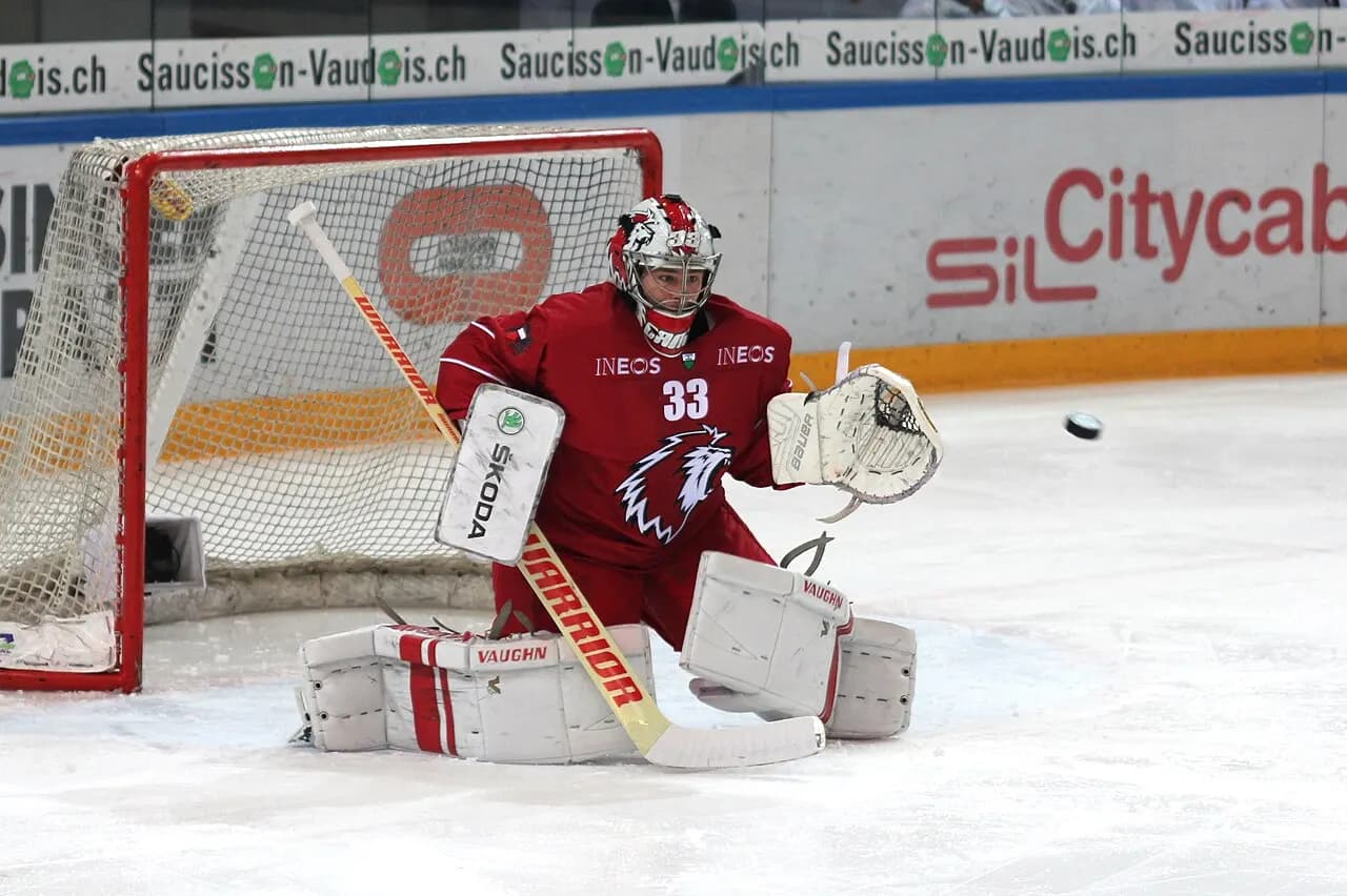Canton de Vaud — NLA, Lausanne HC vs. Rapperswil-Jona Lakers, 11th November 2014 03